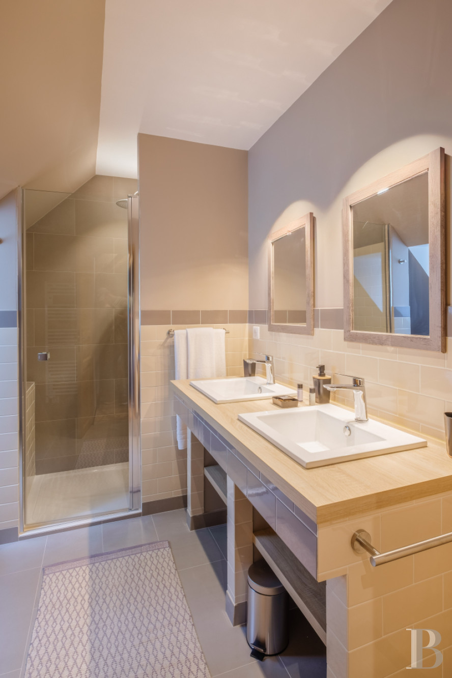 An old mill and miller's house beside a river near Argenton-sur-Creuse in the Indre department  - photo  n°13